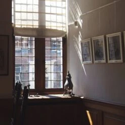 10 Pack SHADES Molding Hook Kit With Perlon Cord And Zipper (White, 59" Perlon Cord) 8 10 Pack SHADES Molding Hook Kit With Perlon Cord And Zipper (White, 59" Perlon Cord) -Flooring Store 0ad57895 fca4 449f 941a 051b54ffe4ae 1.112d35f1ddda4b4f45a8d408d7dc09ad 1800x1800