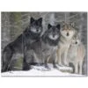 Wolf Wolves Ceramic Tile Mural Kitchen Backsplash Bathroom Shower 403125-S43