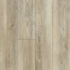 Shaw Prismatic Plus Glacier Pine 7-in Wide X 5-1/2-mm Thick Waterproof Luxury Vinyl Plank Flooring (18.91-sq Ft)