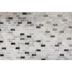 Daltile Snow Illusion 2-5/8 In. X 12 In. Marble Decorative Accent Wall Tile (0.2188 Sq. Ft./ Piece)