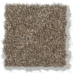 Home Decorators Collection Stryker Court - Color Greystone Texture 12 Ft. Carpet(1080 Sq. Ft./Roll) -Flooring Store 650f2584cb88163e8a9a9a72573fdb64 1800x1800