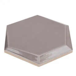 Magen Leveled-Hex Gray Polished Ceramic Hexagon Tile -Flooring Store 76ad6830 59db 475c 94ef b176f2707c43.7203eb89c62ec706d7410383daad13b1 1800x1800