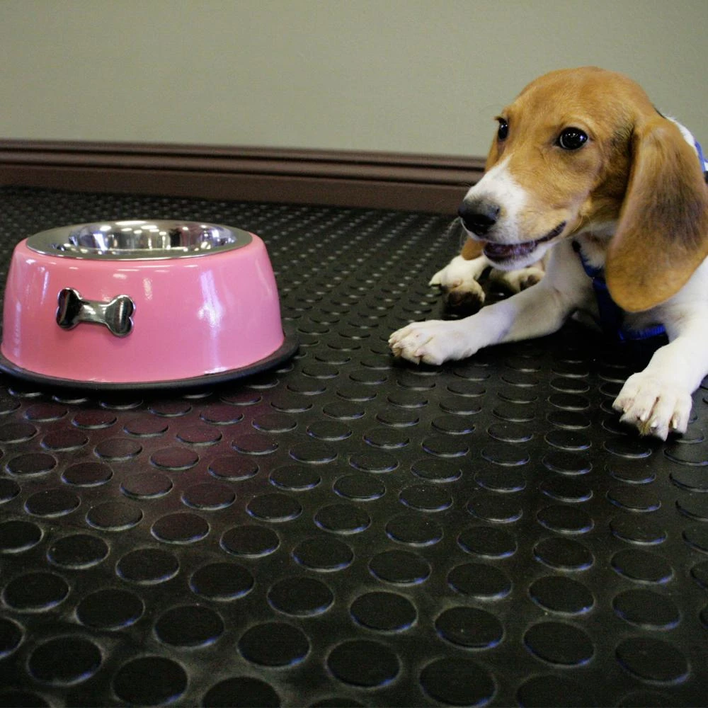 Rubber-Cal Coin Grip 4 Ft. X 40 Ft. Brown Commercial Grade PVC Flooring 6 Rubber-Cal Coin Grip 4 Ft. X 40 Ft. Brown Commercial Grade PVC Flooring - Image 6
