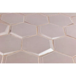 Magen Leveled-Hex Gray Polished Ceramic Hexagon Tile -Flooring Store f81e45f2 478c 44b5 a200 360b206a52f5.93807ec4746fcf4738e07808d35dd7be 1800x1800